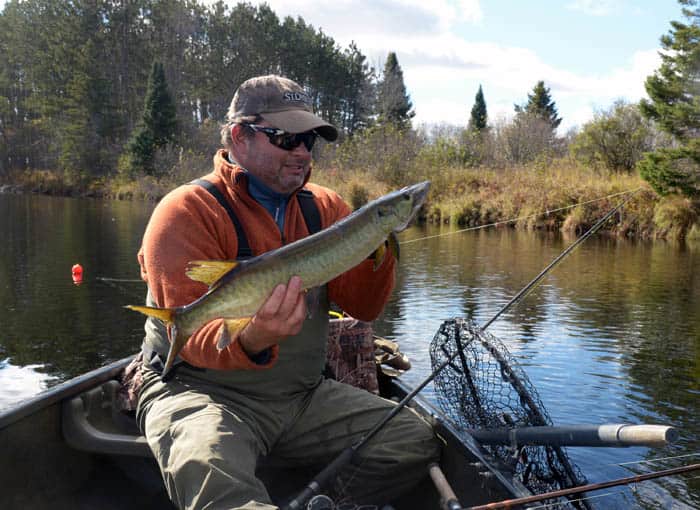 Canoeing Wisconsin’s Northwoods in Search of River Muskie