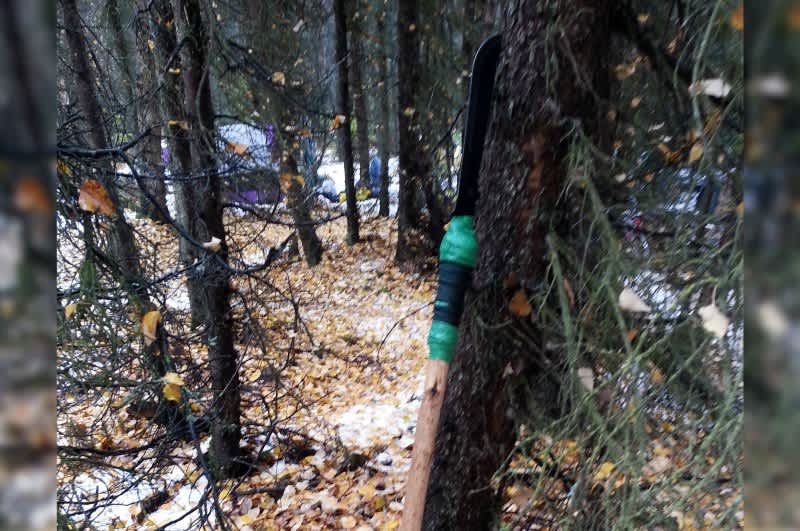 Homeless Camp in Alaska Fights Off Bears with Makeshift Spears