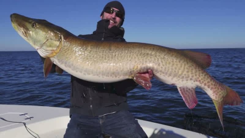 Minnesota Angler Catches Potential World Record Muskie