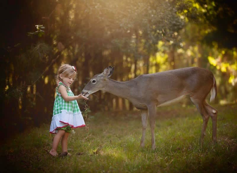 Photos: Deer Photobombs Everything This Photographer Does