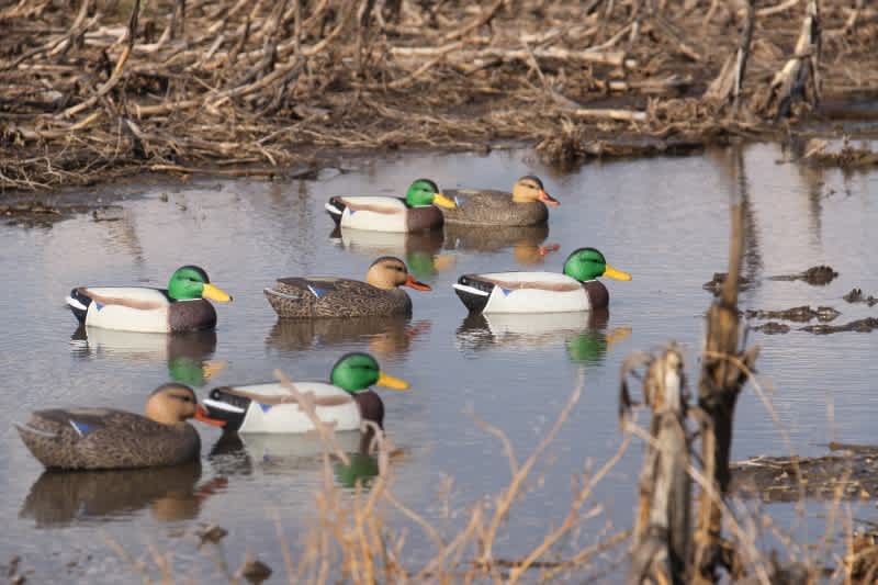 The 10 Best Holiday Gifts for a Waterfowler