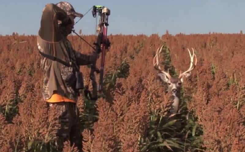 Video: Nick Mundt Stalks Within Inches of a Mule Deer