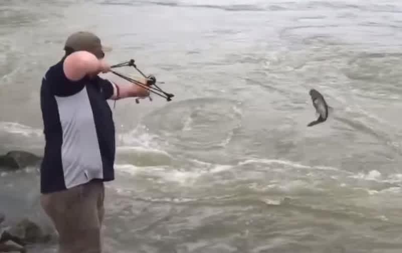 Video: Slingbow Fisherman Catches Large Asian Carp