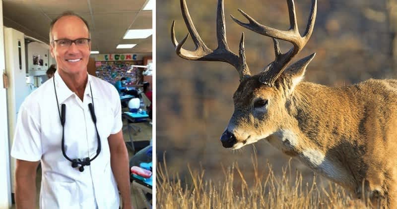 Walter Palmer Investigated for Alleged Deer Herding