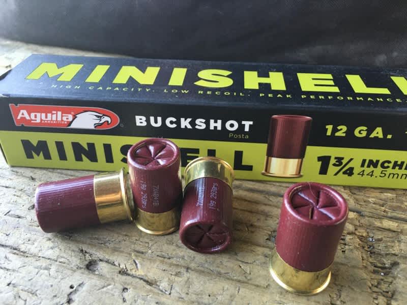 The Aguila Minishell: The Little Shotshell That Could