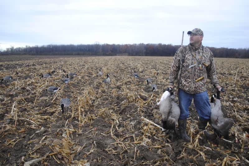 Hunting Michigan Late Regular Season Geese
