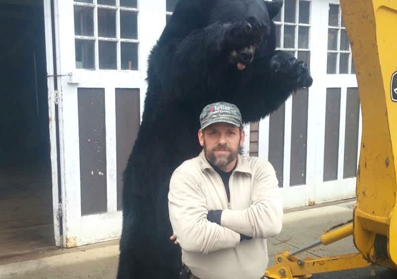 MA Hunter Reportedly Takes 650-pound Black Bear, Possible Record
