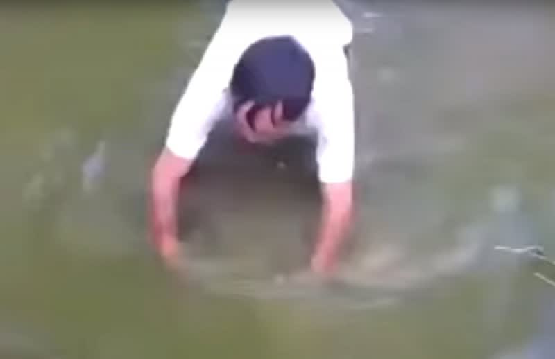 Why You Shouldn’t Catch an Electric Eel Barehanded