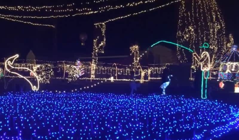 Video: Amazing Fishing-themed Christmas Light Display