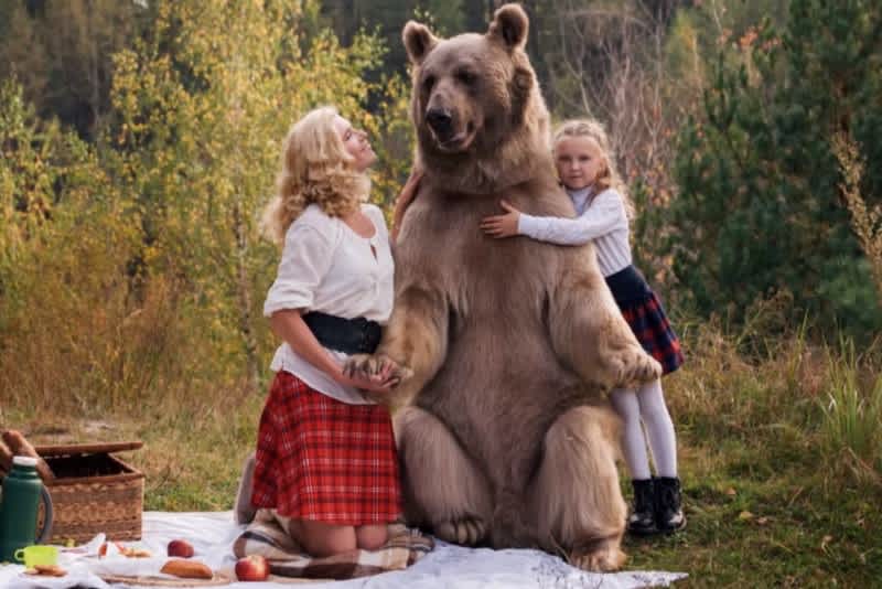 Video: “Vegetarian” Brown Bear Joins Russian Picnic