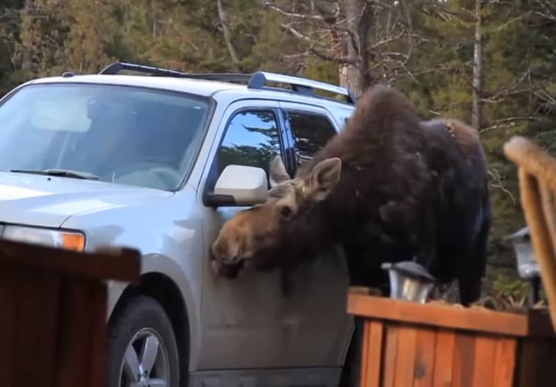 Video: This is What You Call a “Canadian Car Wash”