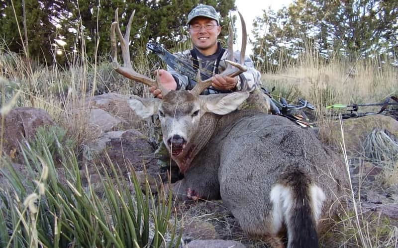 5 Signs to Tell if You Have an Elusive Whitetail-mule Deer Hybrid