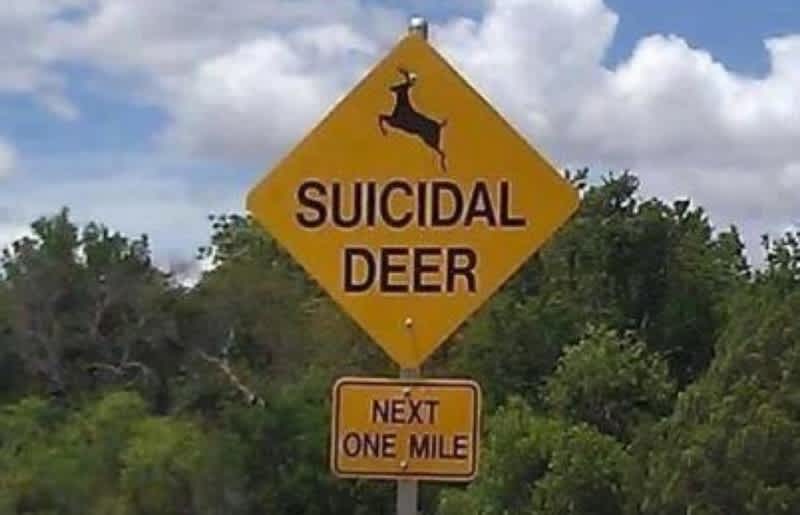 IL Officials Get Attention from Motorists with “Suicidal Deer” Sign