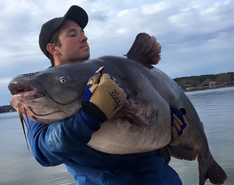 North Carolina Angler Catches Two Record Catfish in Two Days