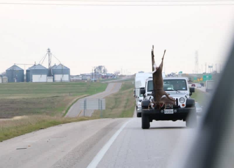 Photo: Hunter Transports Deer 160 Miles on Front of Jeep