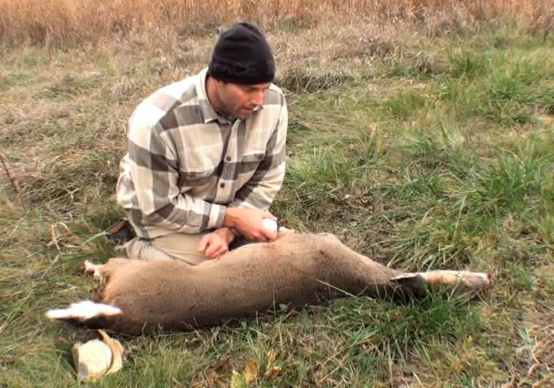 Video: Butchering a Deer with Stone Blades
