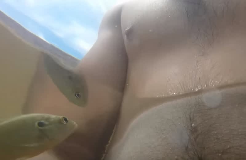 Video: Fish Jumps Out of Water and Bites Man’s Nipple