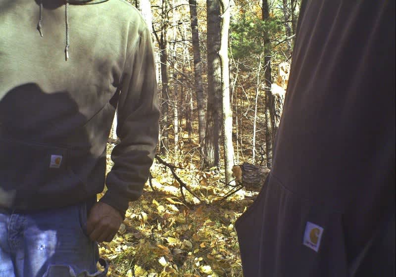 3 Ways to Theft-Proof Your Scouting Cameras