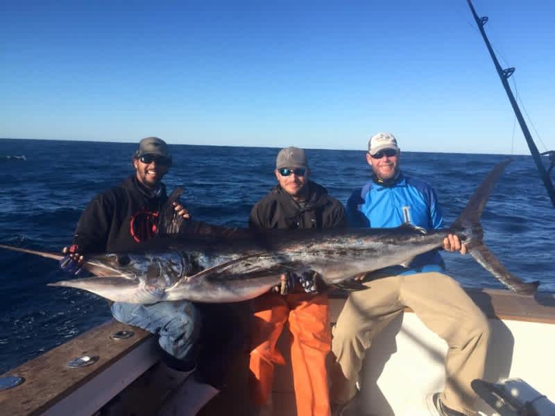Angler Lands Giant White Marlin as North Carolina Record