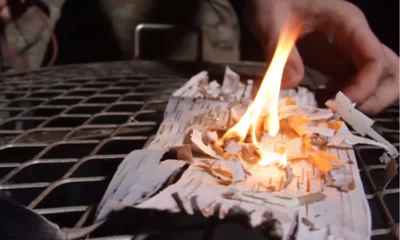 Using Birch Bark and 4 Other Basic Survival Fire Starting Hacks