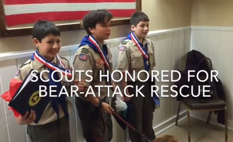 Boy Scouts Who Saved Their Scoutmaster from Bear Honored