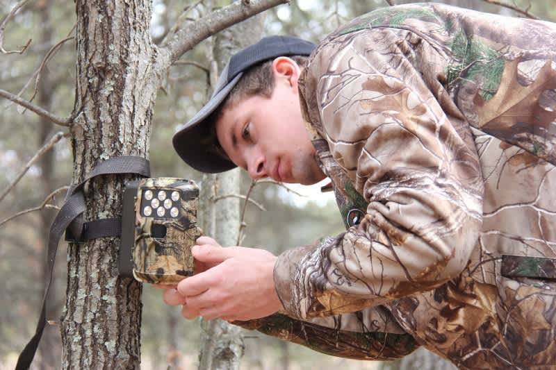 Cell Phone Scouting Cameras: Taking Hunting to the Next Level