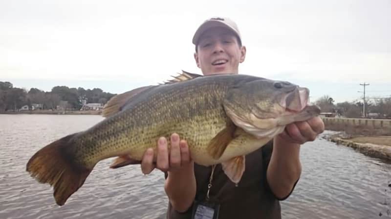 Delaware Angler Smashes State Record for Largemouth Bass