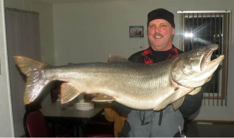 Minnesota Angler Reels in Massive Lake Trout in Ontario