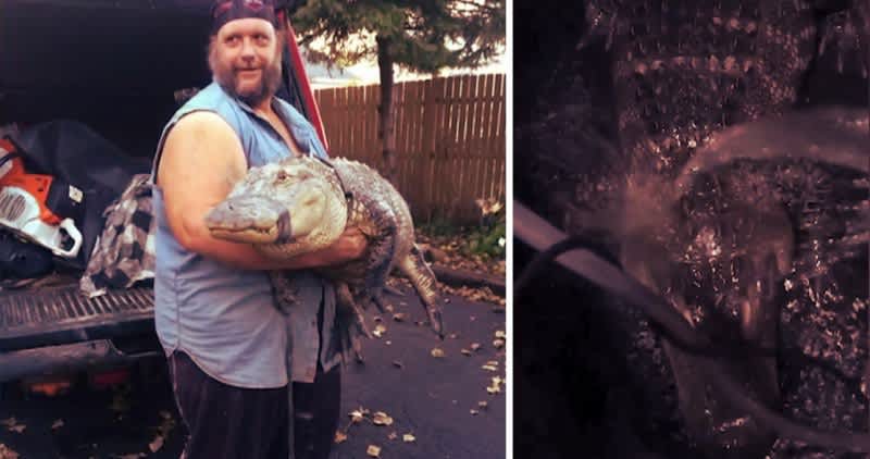 Officials: Illinois Man Kept Alligator in Basement for 26 Years