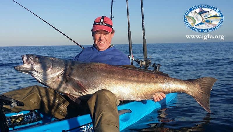 This Monster Sea Bass Could Break a Nearly 50-year-old Record