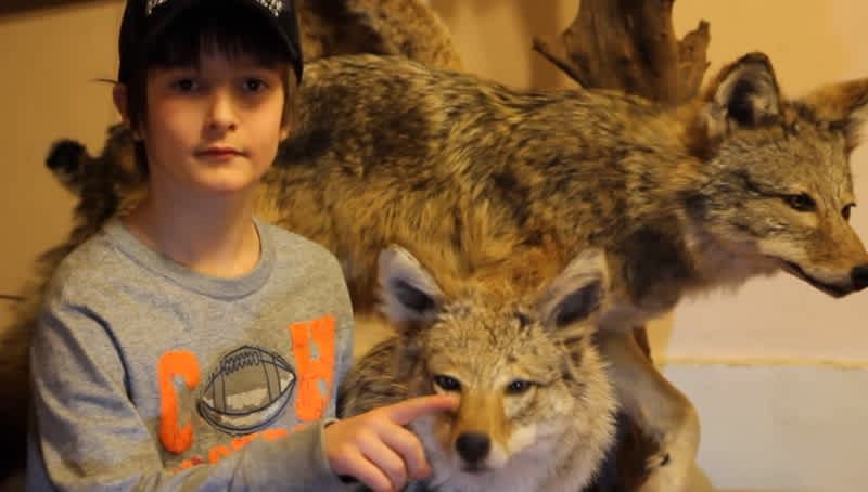 Video: 9-year-old Makes Bobbing Coyote Mount