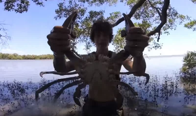 Video: Australian Teens Catch the “Bacon of the Sea,” AKA Mud Crabs