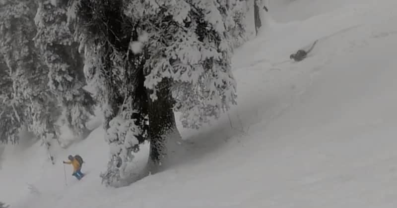Video: Skiers Shocked by Snow Leopard in Their Path
