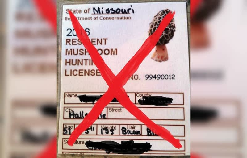 PSA: You Do Not Need a “License” to Hunt Morel Mushrooms