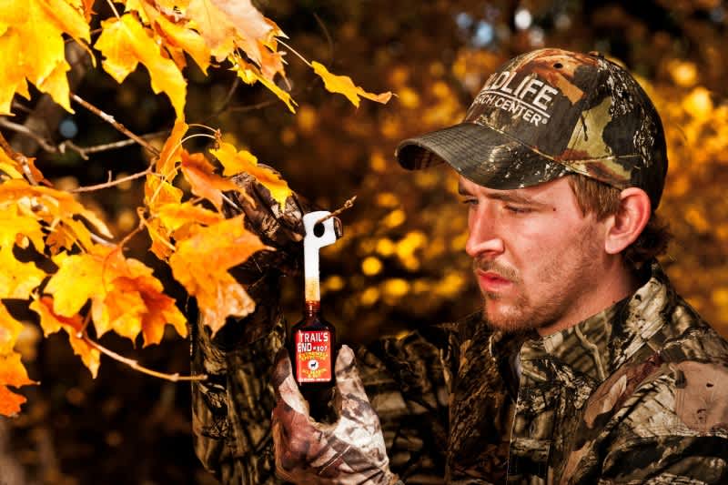 The Science of Scents: How Well Can Deer Smell?