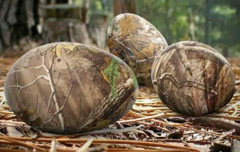 Video: How to Camo Dye Easter Eggs