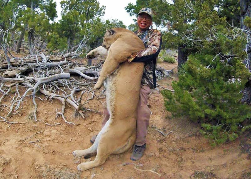 Photos: Shed Hunt Turns into Massive Mountain Lion Harvest