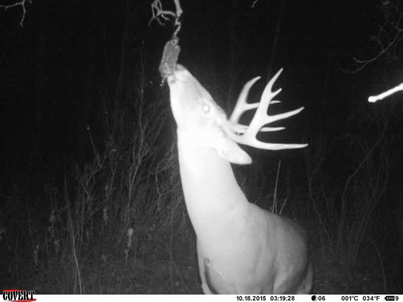 6 Myths in Deer Hunting That Need to Die