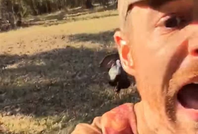 Video: Turkey Scouting Turns into an Escape from an Angry Tom