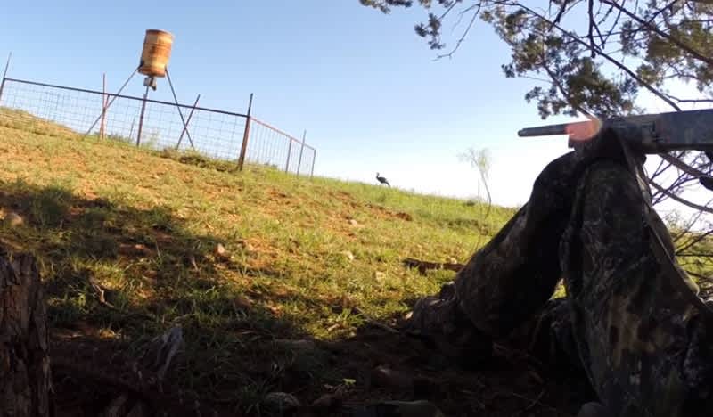 Video: When Turkey Hunting Goes Wrong