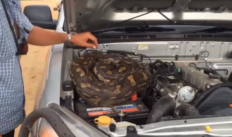 Video: When You Hear Hissing from Underneath the Hood