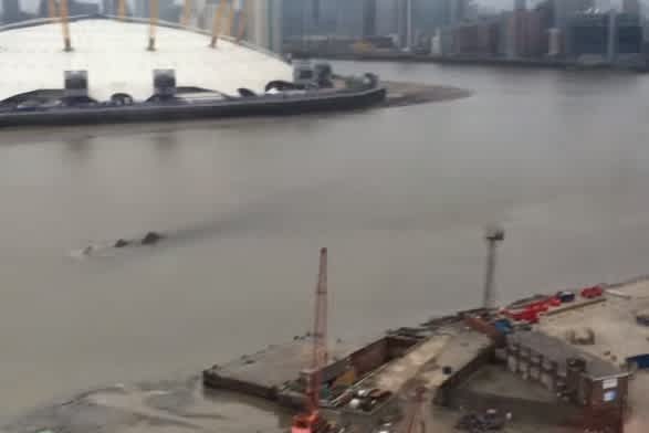 Video: Large Mysterious Object Spotted in the River Thames