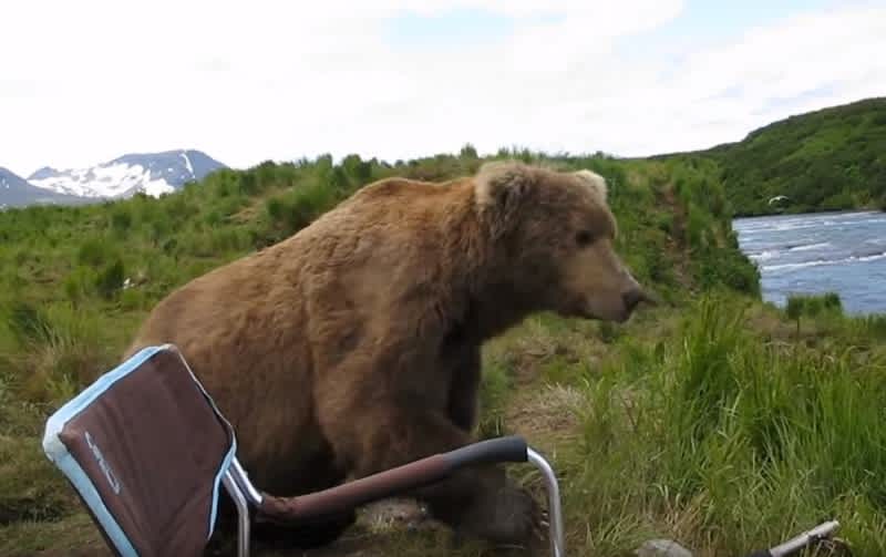 Video: Bear Sits Down Next to Shocked Photographer