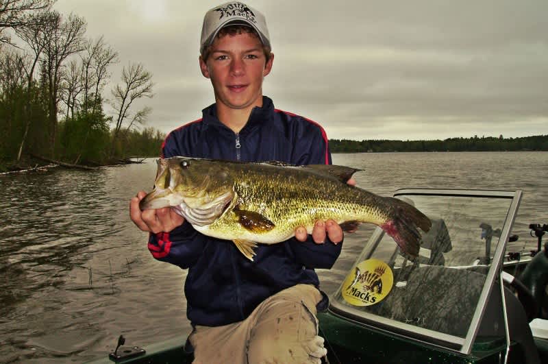 6 Go-To Lures for Big Spring Bass