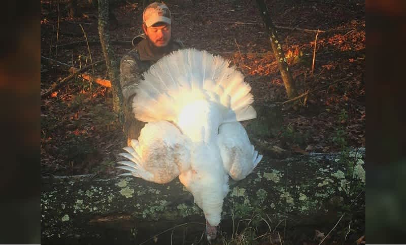 Photos: North Carolina Hunter Bags Rare White Turkey