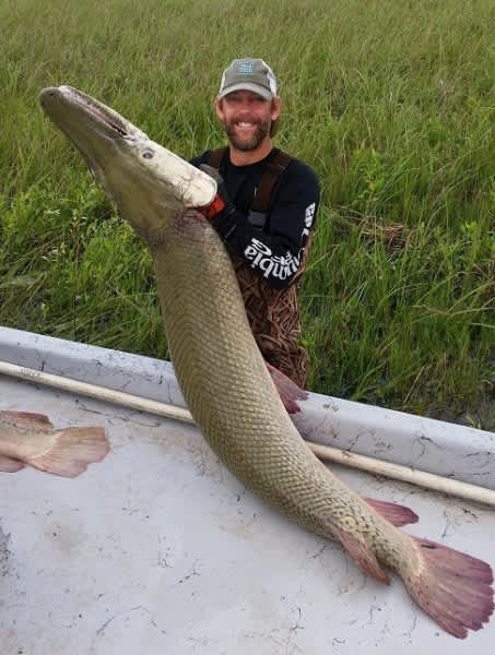 Massive Alligator Gar Caught and Released in Texas