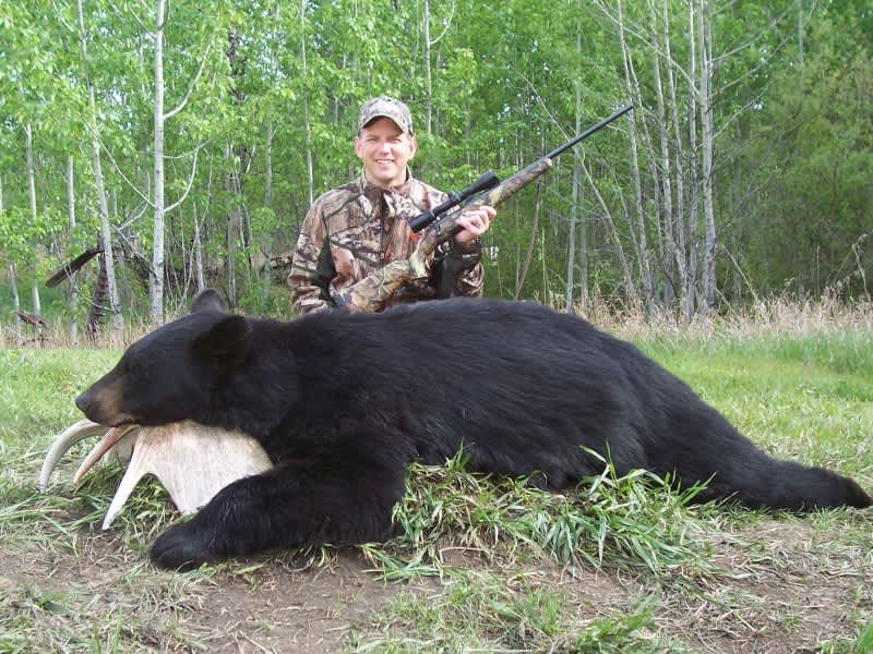 Photo Tip: Use a Moose Shed to Improve Black Bear Trophy Pics