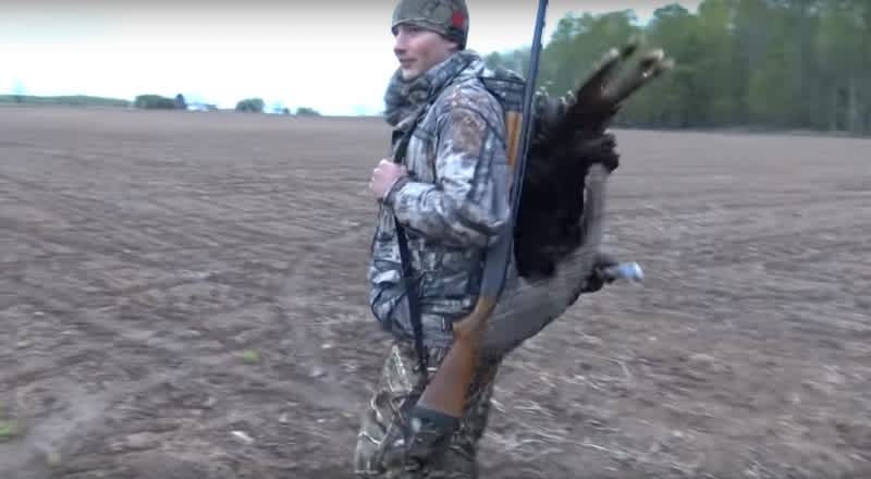 Video: Pursuing Turkeys in Packer Country