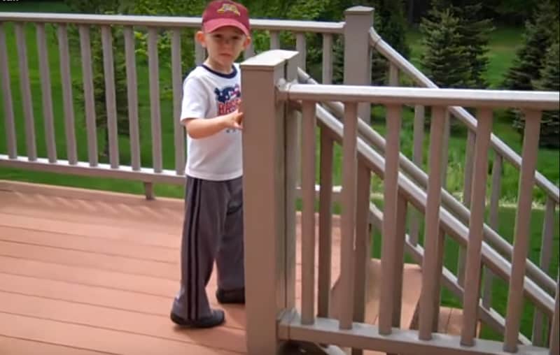 Video: Young Child Looking for Frogs In His Backyard Instead Discovers a Much Bigger Surprise