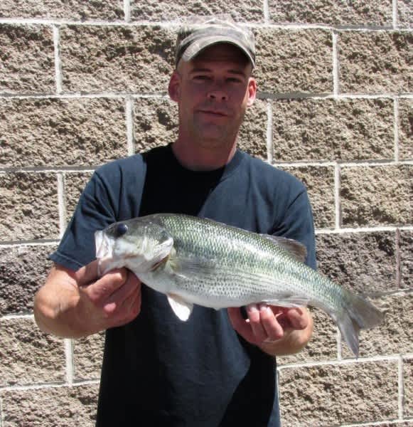 Missouri Anglers Keep Catching State Records